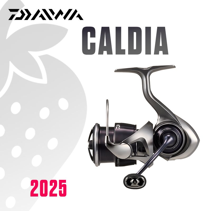 DAIWA 2025 CALDIA LT Fishing R - Daiwa Reel Bg review and price